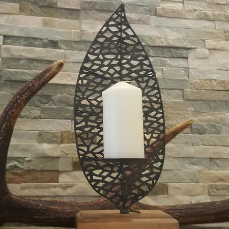 Forest House Aleksandar 度假居 *