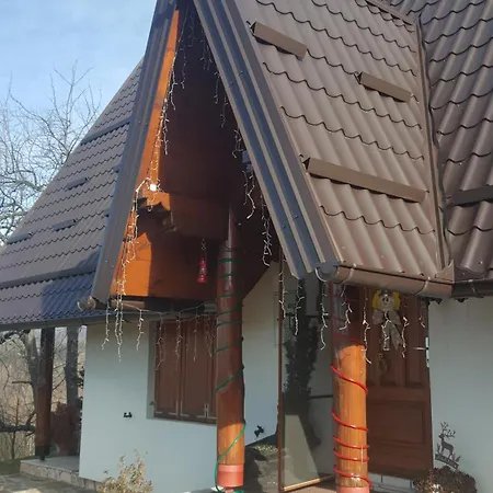 Dom wakacyjny Forest House Aleksandar