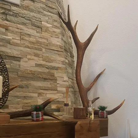 Dom wakacyjny Forest House Aleksandar Srbac