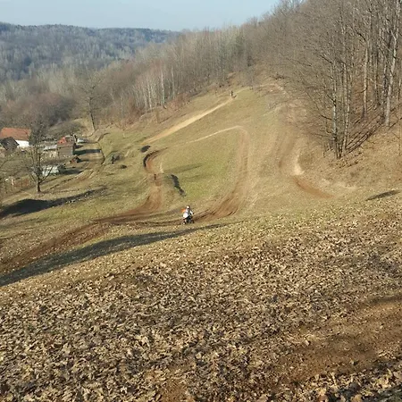 Forest House Aleksandar 度假居