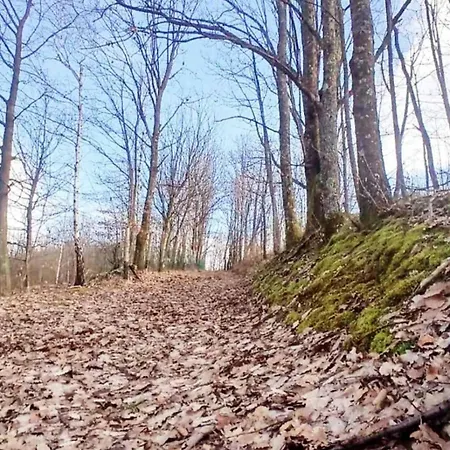 Forest House Aleksandar 度假居 Srbac