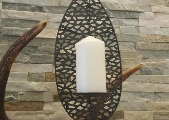 Forest House Aleksandar Holiday home *