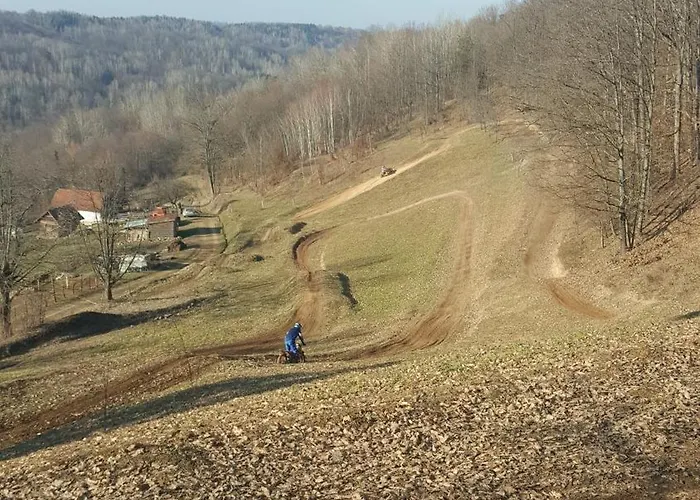 Forest House Aleksandar Holiday home *