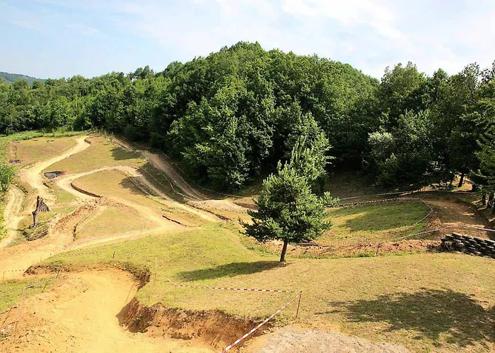 Forest House Aleksandar Holiday home *