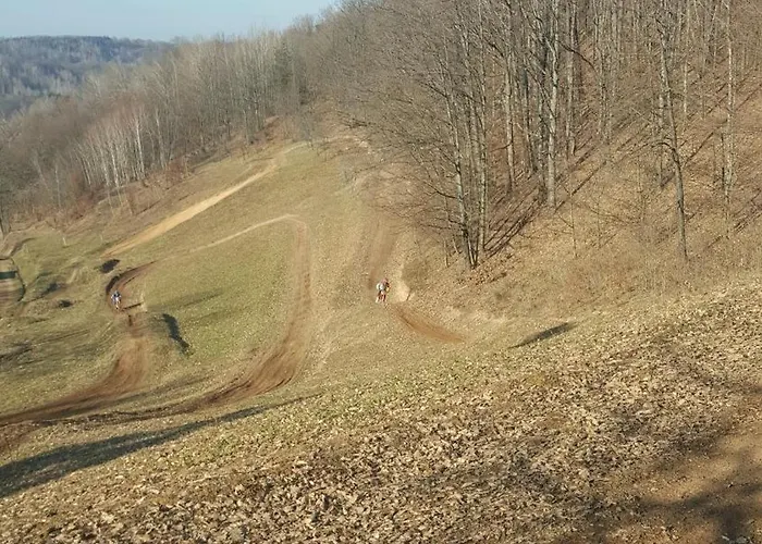 Forest House Aleksandar Holiday home