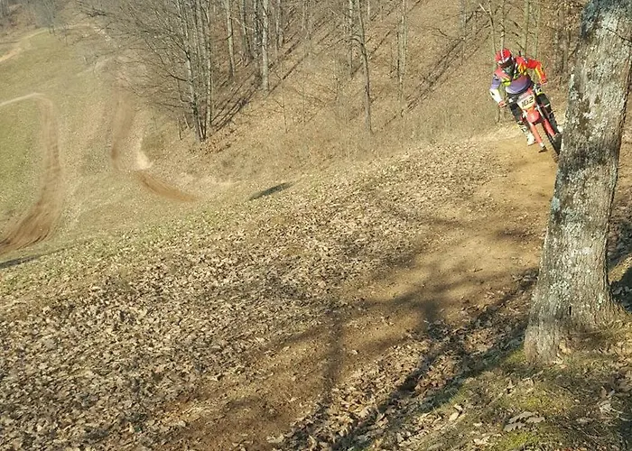 Forest House Aleksandar Holiday home Srbac