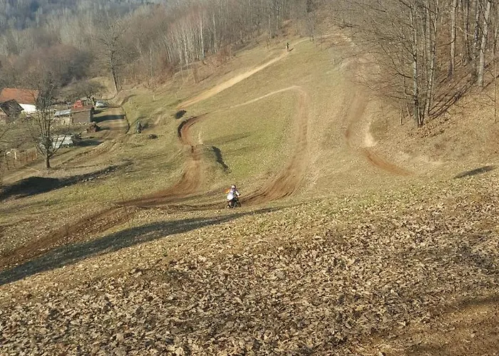 Forest House Aleksandar Holiday home