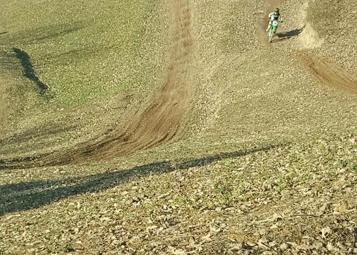 Forest House Aleksandar Holiday home