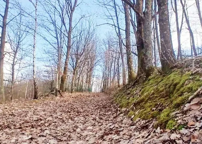 Forest House Aleksandar Holiday home Srbac