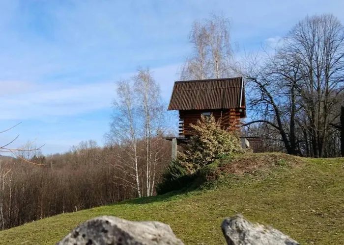 Forest House Aleksandar Holiday home