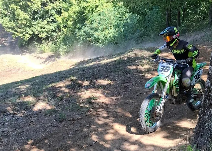 Forest House Aleksandar Holiday home