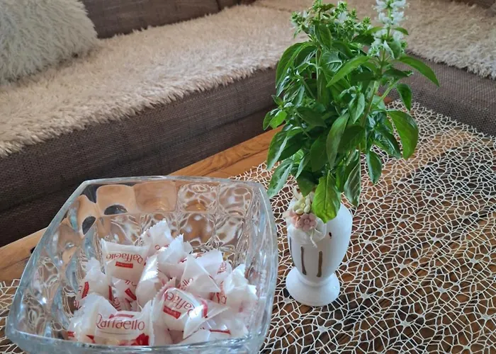 Forest House Aleksandar *