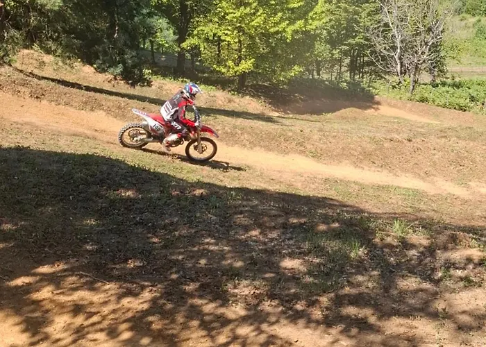 Forest House Aleksandar Holiday home